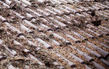 Batcombe roof cleaning companies